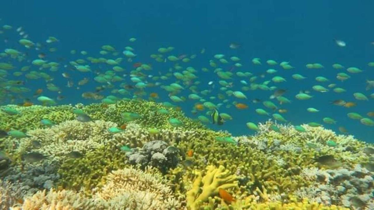 Maha Nusa Menjangan 班尤温当 外观 照片